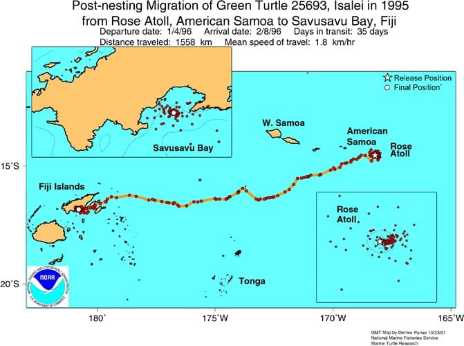 A Beautiful Gem in the South Pacific”: Scientists on Rose Atoll » Marine  Conservation Institute