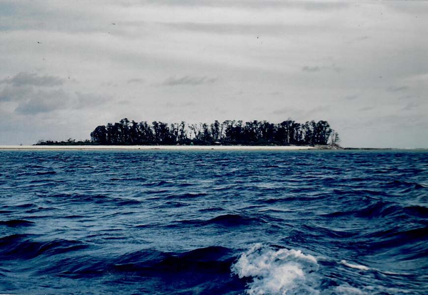 A Beautiful Gem in the South Pacific”: Scientists on Rose Atoll » Marine  Conservation Institute